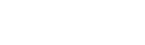Logo bravospain.es