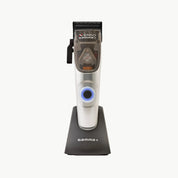 CLIPPER X-ERGO - GAMMA+-3 - Bravo Perfomance