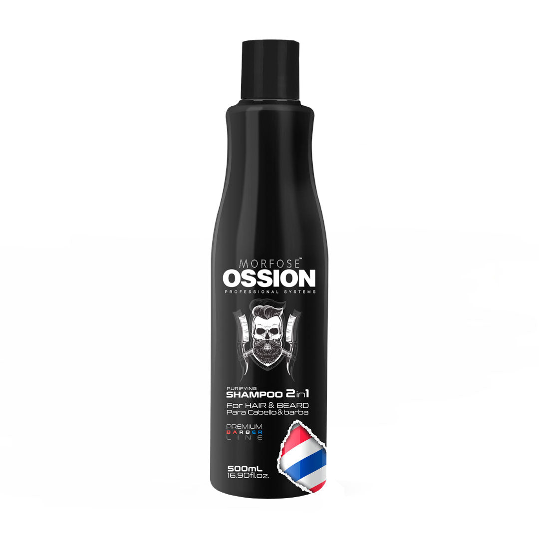 SHAMPOO 2 EN 1 (500ml) - OSSION - Bravo Spain