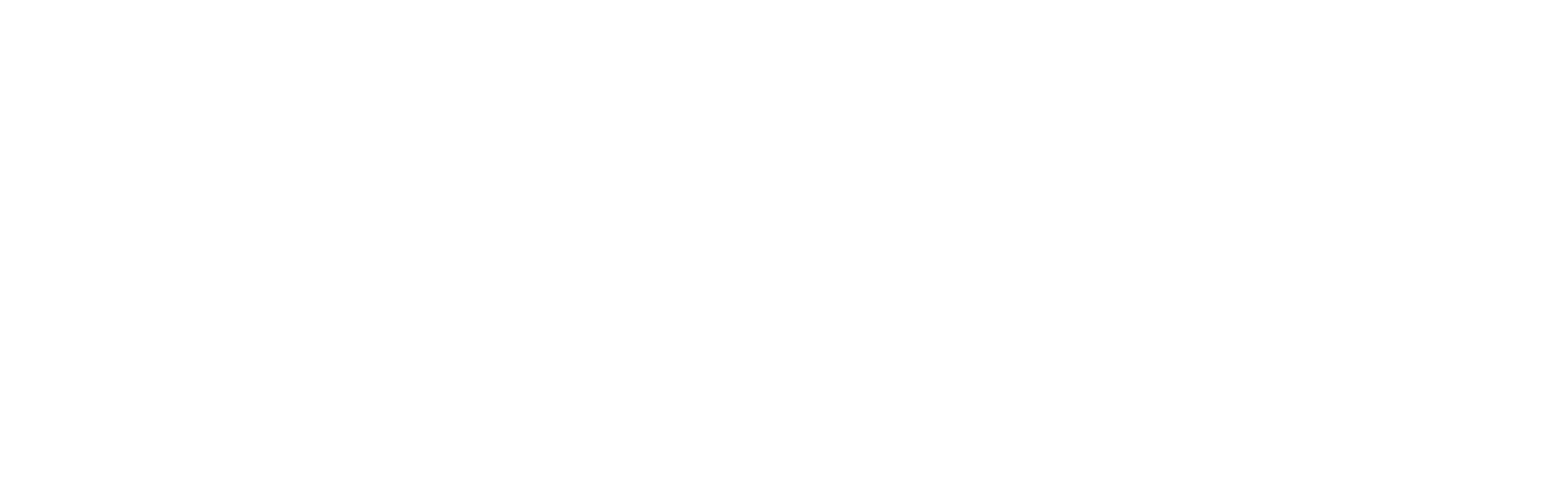 logo de bravo