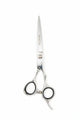TIJERAS DE CORTE PROFESIONAL PLATA 6¨ - BRAVO